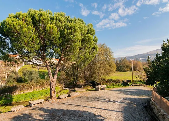 Dom wakacyjny Casa Do Loureiro 1 - - Serra Da Estrela *